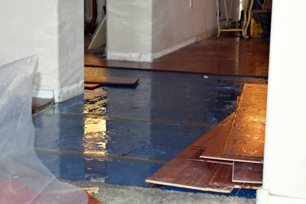 Professional Basement Flood Cleanup technician working in Cactus, TX